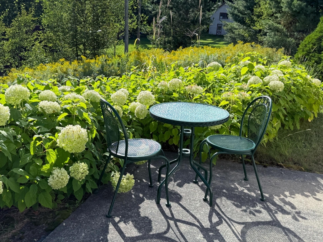 terrasse-coin-hydrangeas